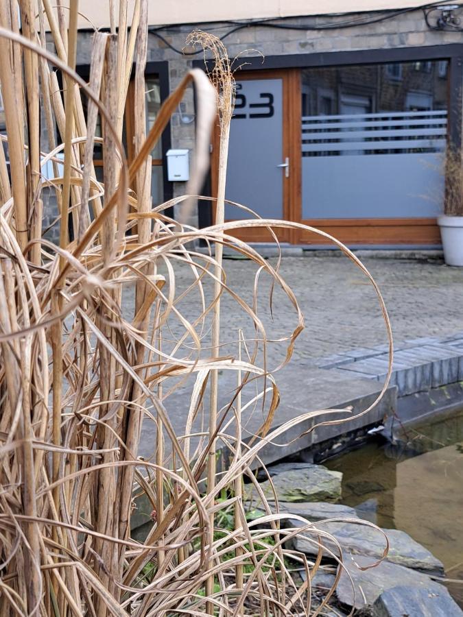 Apartmán Le 23 - La-Roche-en-Ardenne Exteriér fotografie